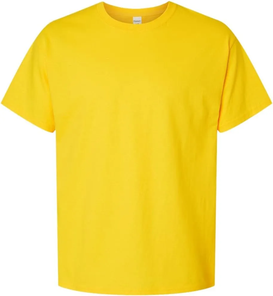 Hanes mens 5280