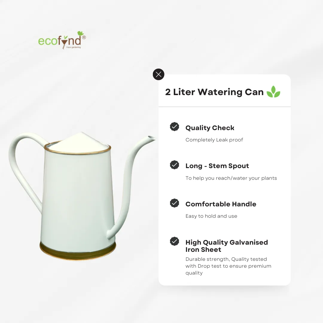 White Watering Can 1.5 Litre